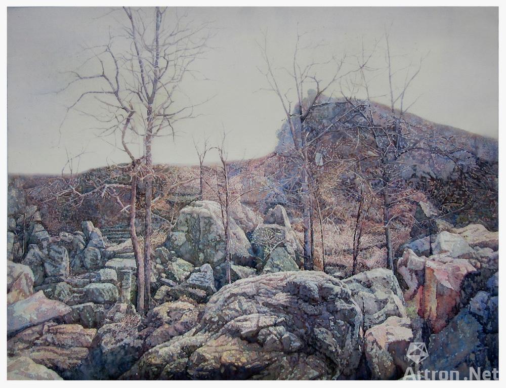 《自在2》  袁诚 105x75 2014年 水彩