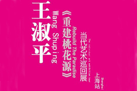 《重建桃花源》王淑平当代艺术巡回展