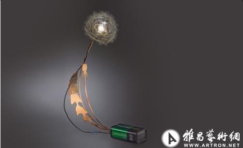 Drift设计工作室：蒲公英LED灯 (Dandelight)