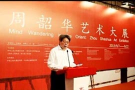 上海电视台 艺术人文频道 神游东方周韶华