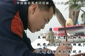 2006年山东聊城电视台电视画廊