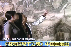 央视报道刘选让教授《塔克拉玛干之魂》对外新闻发布会