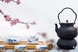 【雅昌讲堂第1729期】栗强：日本铁壶的使用与保养